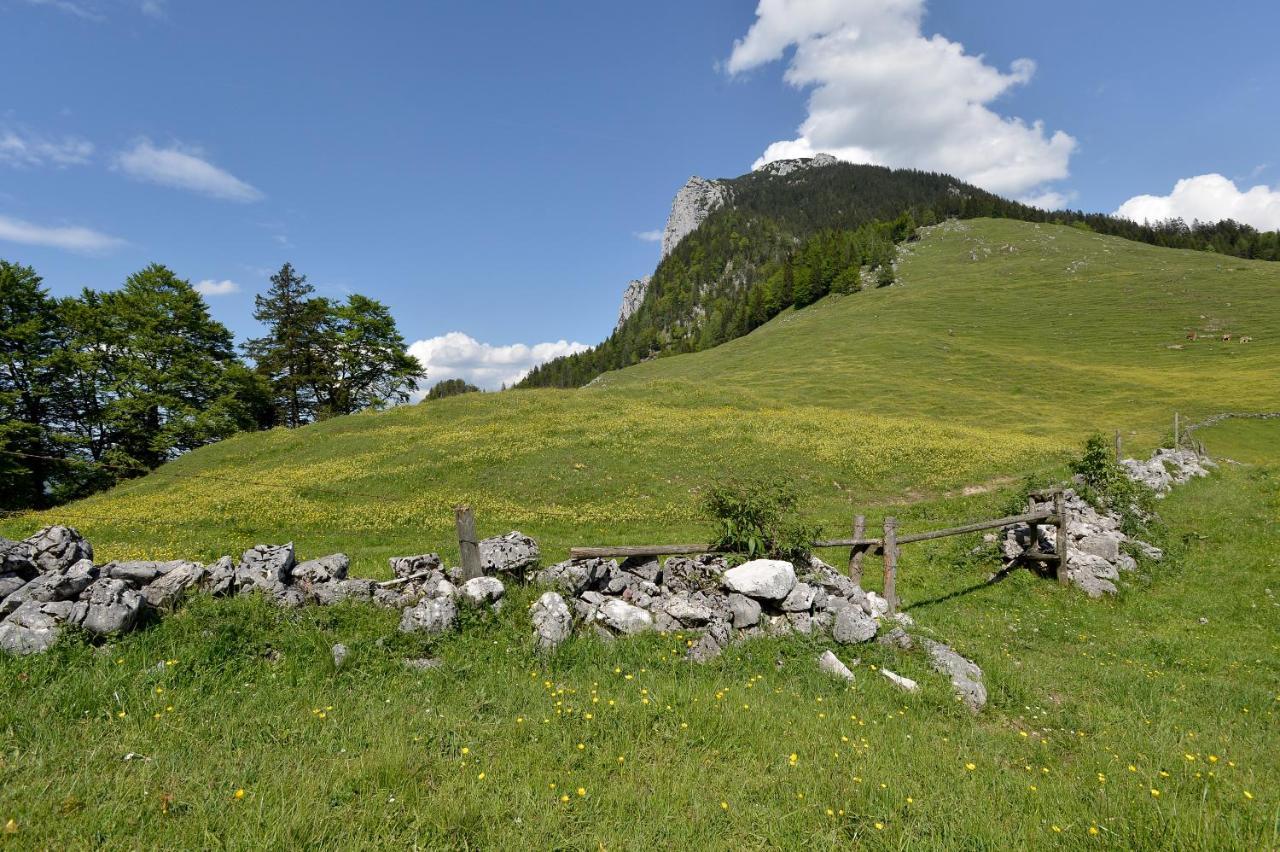 Ritzau Alm Hotel Ebbs Luaran gambar